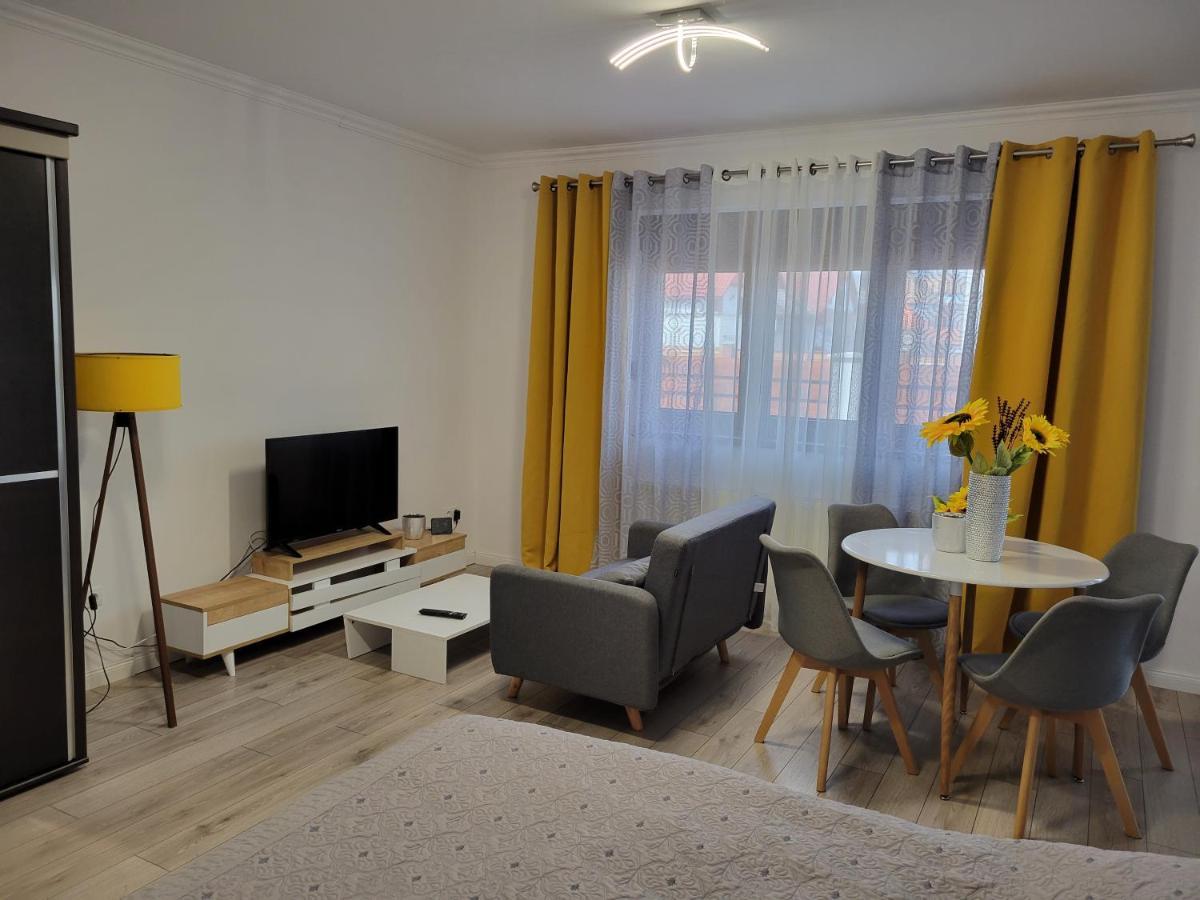 Apartament Concept Urban Mediaş Zewnętrze zdjęcie
